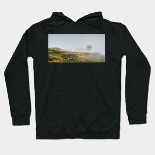 Torver Back Common Hoodie